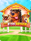 The Dog House